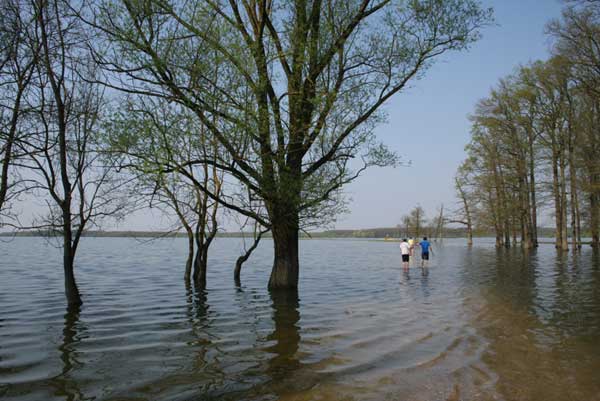 Lonjsko Polje