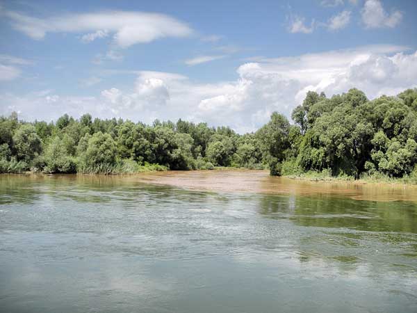 Confluencia del Mura con el Danubio