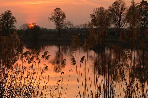 Río Drava