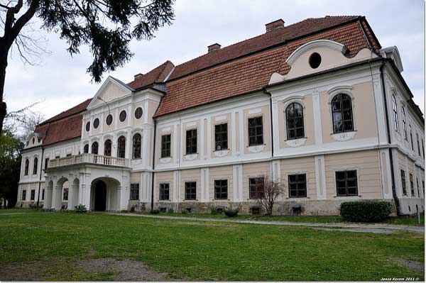 Castillo Jankovic, Daruvar