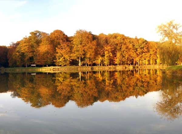 Alrededores de Grubišno Polje